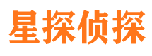 两当侦探公司